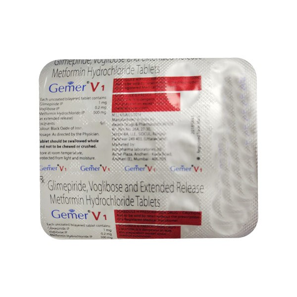 GEMER V1 15'S